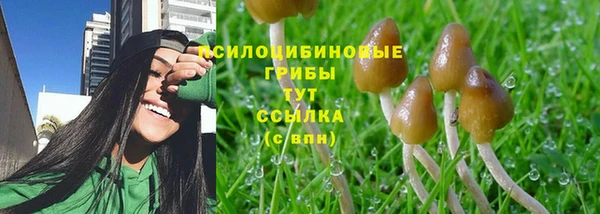 spice Балахна