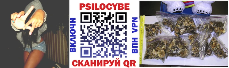 Псилоцибиновые грибы GOLDEN TEACHER  дарнет шоп  Сланцы 